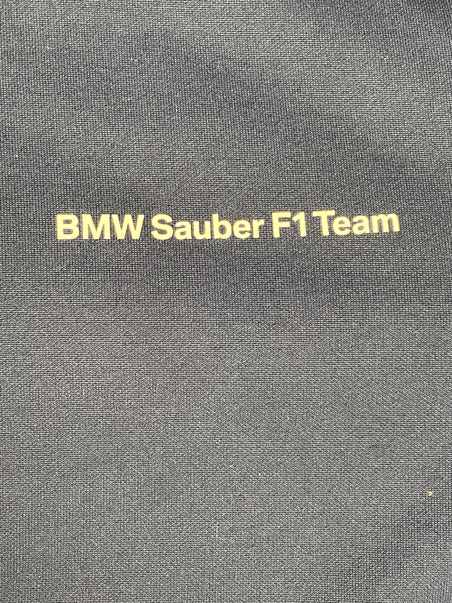 BMW Sauber F1 Puma Zip Up