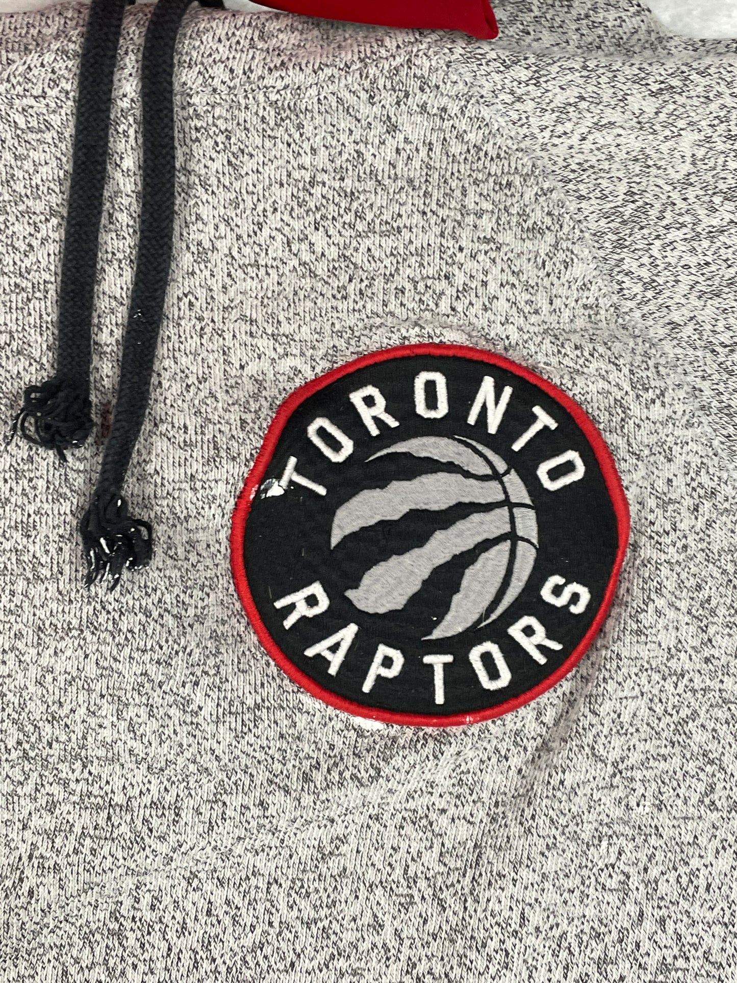 Raptors Hoodie